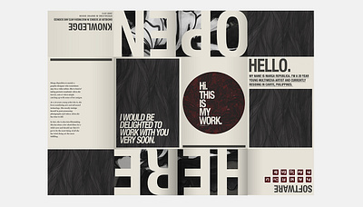 Portfolio 2013 | Personal Work design graphic design illustration