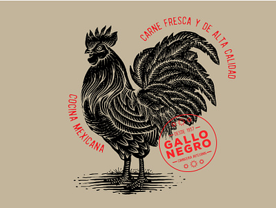 Gallo negro badge branding design drawing food graphic design icon illu illustration logo tattoo traditional typography vintage