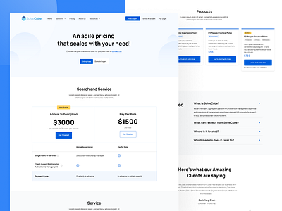 SolveCube Website - Pricing Page design pricing pricing page pricing table ui uidesign uiux webdesign website