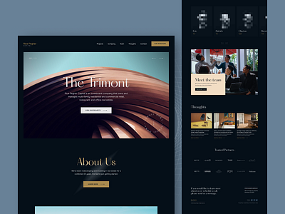 Real Estate Investment - Web UI capital investment dark design design studio graphic design interface real estate ui ux web web design