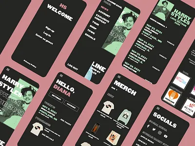 Harry Styles App design harry styles ui ux web
