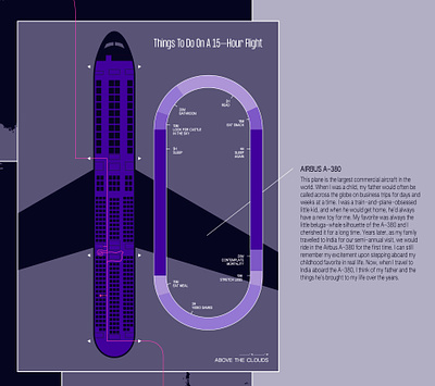 3 Trips Infographic Close-Up infographic map plane