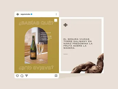 SM Segura Viudas advertising brand identity branding cava cava brand champagne graphic design instagram layout design social media ui