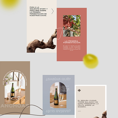 Story layout design AD advertising art direction brand identity branding design graphic design instagram social media storys vector