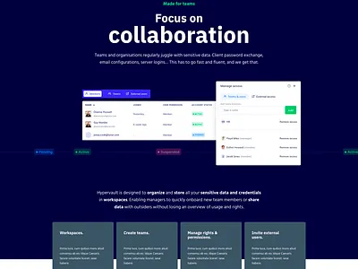 Hypervault.com: teams and organizations blue manager password teams vault