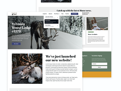 Moose Lodges agency website branding company branding dailyui flat minimal ui ux web design web page