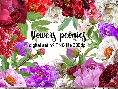 Flowers Peonies Clipart bouquet of flowers digital png digital set of flowers floral elements for design floral illustration flower clipart flowers for scrapbooking garland of flowers illustration peonies clipart peonies digital peonies png peony clipart set pink flowers roses scrapbooking clipart wedding clip art wedding flowers wreath of flowers