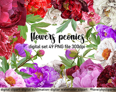 Flowers Peonies Clipart bouquet of flowers digital png digital set of flowers floral elements for design floral illustration flower clipart flowers for scrapbooking garland of flowers illustration peonies clipart peonies digital peonies png peony clipart set pink flowers roses scrapbooking clipart wedding clip art wedding flowers wreath of flowers