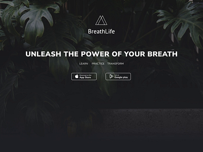 Meditation App animation app breath breathing calm design headspace landing meditation mvp online platform purrweb relax relaxation startup ui ux web website