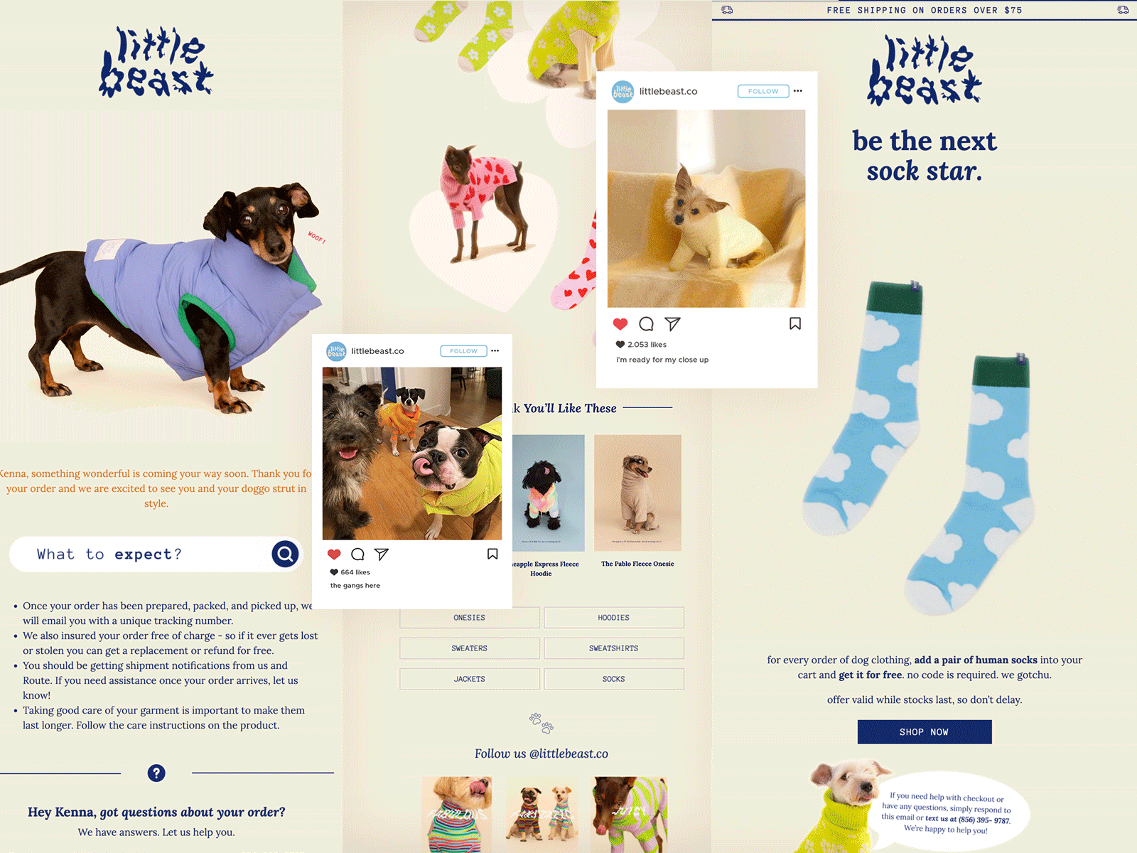 The Little Beast design e mail email illustration klaviyo marketing newsletter responsive template