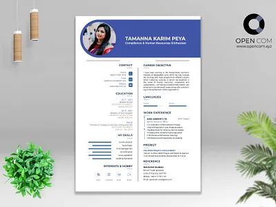 Professional CV Design best cv design creative cv design cv cv design cv resume template cv template resume template