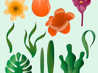 Some florals from our garden africa branding fintech flutterwave illustration payment payments