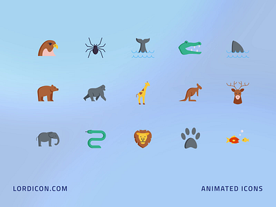Wildlife Icon Group 2d animation animation icon