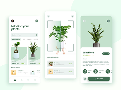 Plant Shop App Concept - UI app clean ecommerce green iphone iso minimal mobile online shop online shopping online store plant app plant care app plant care app android plants splashscreen startup ui ui design ux