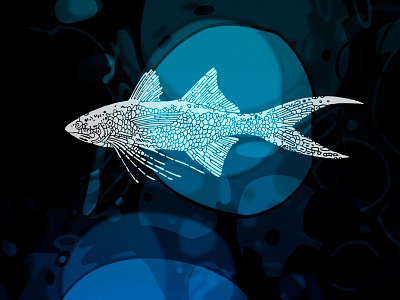 White fish blue fish illustration ocean photoshop