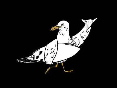 Surf Gull bird gull seagull surf surfer surfing wave