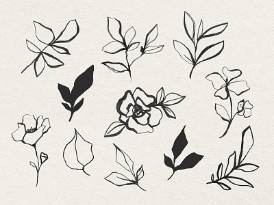 Elegant Flower Line Art | Vintage Doodle Element Pack aesthetics artwork botanical collection design digital art doodle floral flower graphic illustration line art line drawing minimal outline pack set simple vector vintage