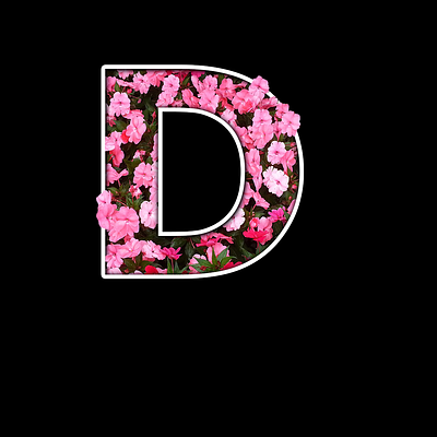 Floral Typography in Photoshop branding design graphic design illustration typography