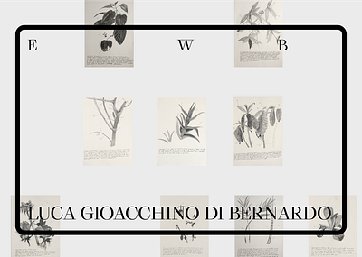 Luca Gioacchino Di Bernardo ● Artist Website graphic design portfolio typography user interface web design web development