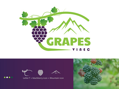 Blackberry company logo (T-GRAPES VINEC) abstract agency logo best logo blackberry company logo blackberry icon blackberry logo branding colourful logo creative design gradient graphic design illustration logo logo designer logo mark minimal modern logo vector