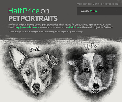 Pet Portraits dogs illustration petportrait petportraits portrait southafrican