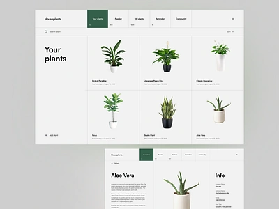 Houseplants Website Concept browse catalog clean database detail ecommerce gray grid houseplants layout minimalistic nordic plants ui ux web webshop