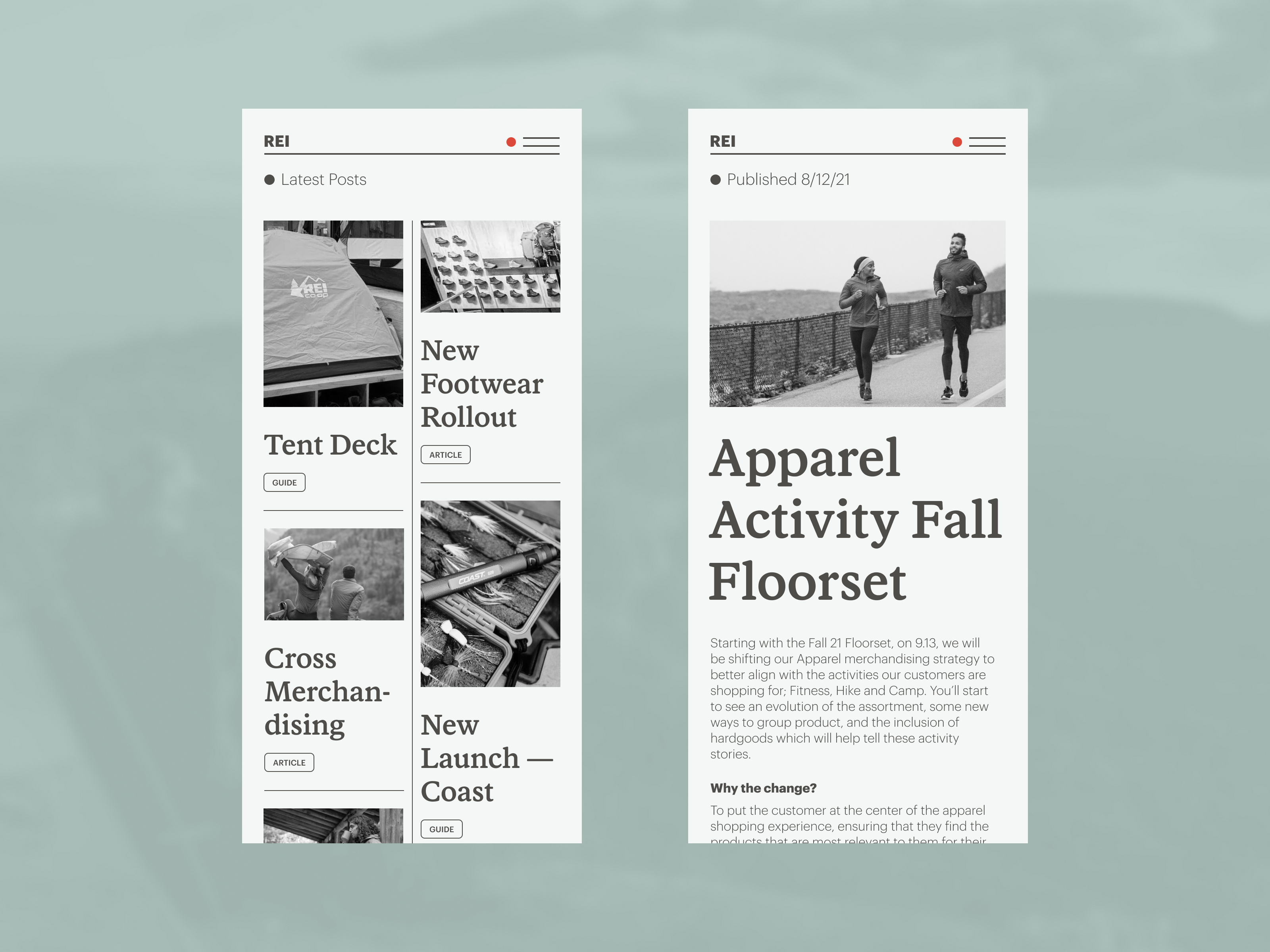 Example of REI Visual Merchandising Web App (02)