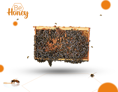 Be Honey - Poster and Identity Design banner banner design brand identity brand identity design branding design graphic design poster poster design social media banner social media poster social media poster design visual design