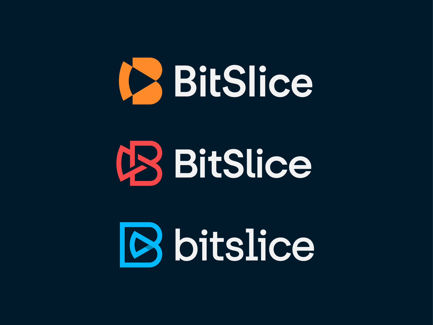 BitSlice Logo Options by Dimitrije Mikovic on Dribbble