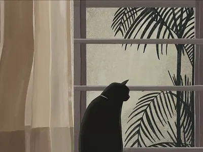 Cirilo & window art cat digital illustration ipad photoshop procreate window