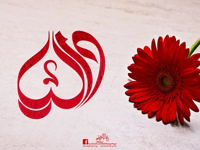 Dalia calligraphy freehand illustration illustrator logo design photoshop typography