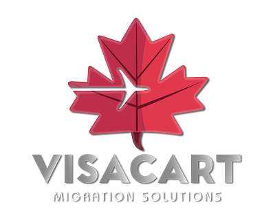 VisaCart animation art branding design graphic design illustration lavifx logo typography web