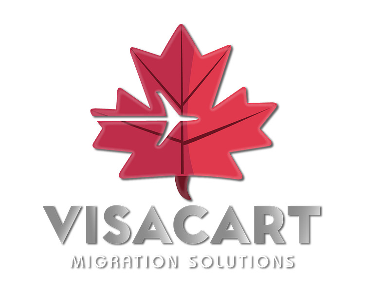 visacart-by-lv-creates-on-dribbble
