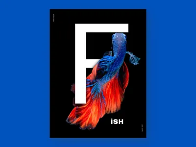 Poster Design in Photoshop 3d branding designer graphic design illustration illustrator photoshop poster posterdesign vector