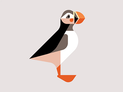 Atlantic Puffin WIP art artwork atlantic puffin bird branding design graphic design illustration logo puffin