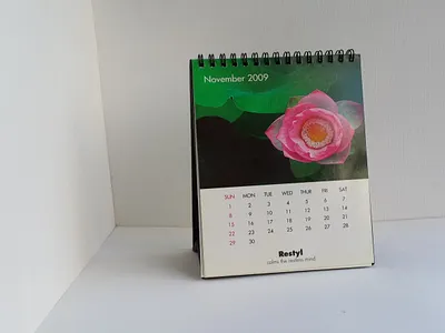 calendar branding design graphic design