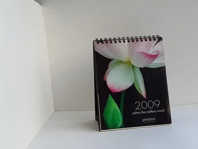 Calendar branding design graphic design