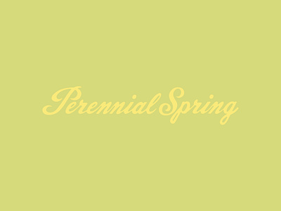 Spring Script branding lettering logo script logo spring script type typography