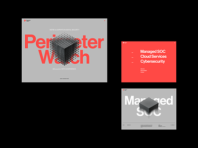 PerimeterWatch® / Site Design brand brand guide branding design graphic design identity interactive logo site web website
