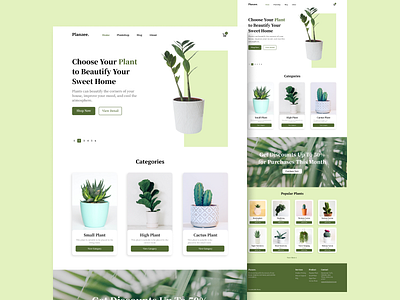 Planzee : UI/UX Website Design ui uiux ux web design