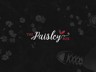 The Paisley Box — Logo Design brand branding creative design designer graphics illustration logo ui vector