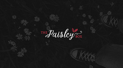 The Paisley Box — Logo Design brand branding creative design designer graphics illustration logo ui vector