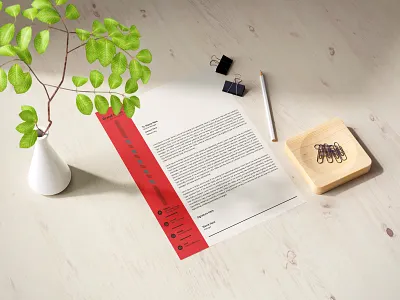 Letterhead Template a4 brand branding branding design brochure business flyer design flyers graphic design graphicdesign letterhead letterhead design letterhead template letterhead template design logo template templates