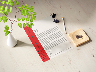 Letterhead Template a4 brand branding branding design brochure business flyer design flyers graphic design graphicdesign letterhead letterhead design letterhead template letterhead template design logo template templates