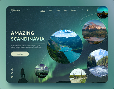 Travel agency design journey northenlight norway scandinavia travelagency travelling trip ui ux web