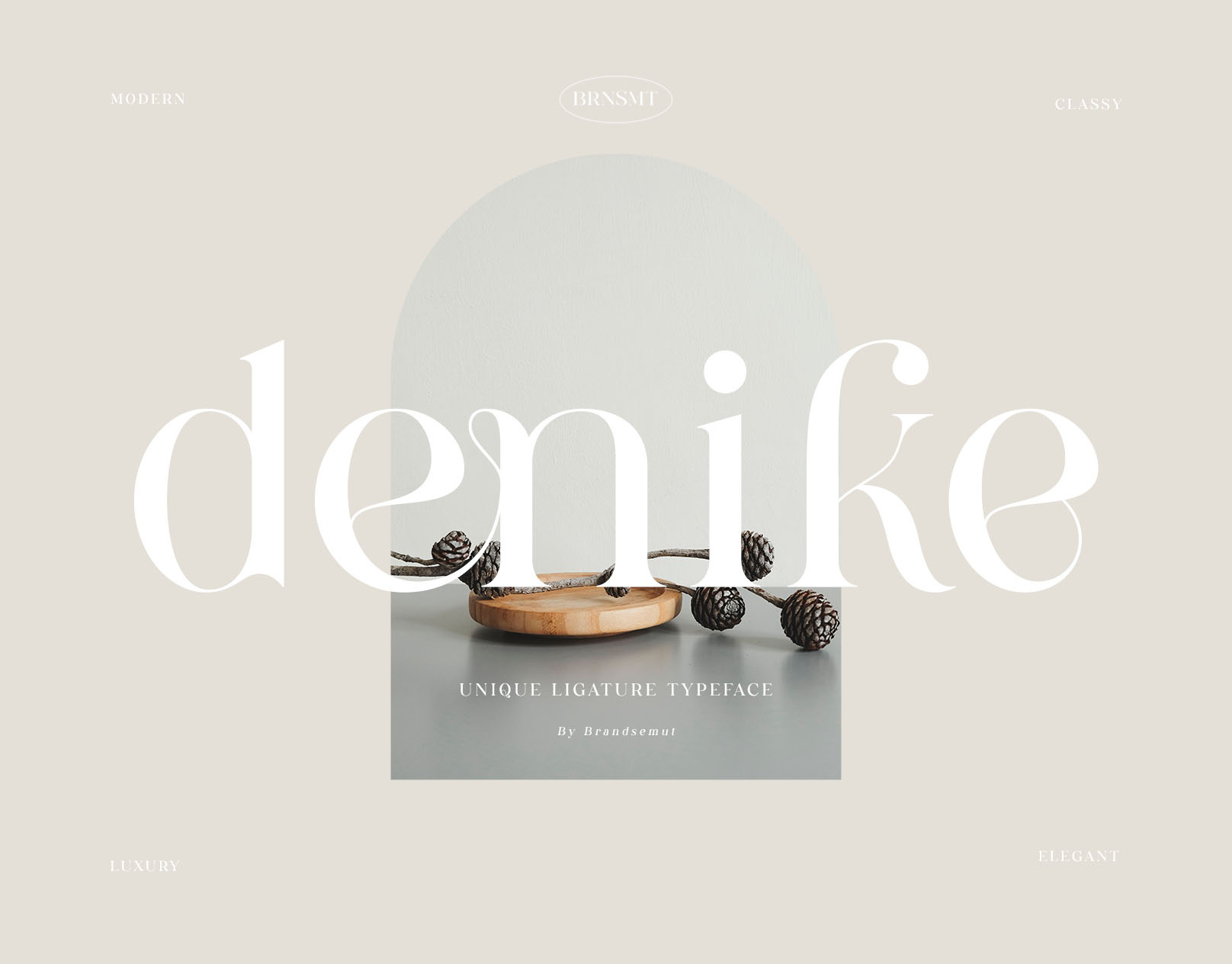Denike || Stylish Modern Serif lettering