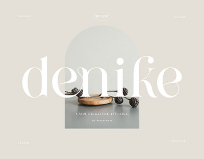 Denike || Stylish Modern Serif lettering