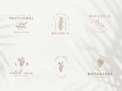 Botanical Floral element Hand Drawn Logo with Wild Flower art beauty botanical branding design elegent emblem floral flower hand drawn leaf logo nature organic plant sign spa symbol template vector