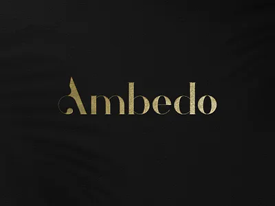 Logo Type ambedo branding design identity logo logobrand logomark logotype text logo type typo typography