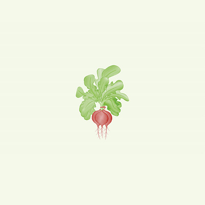 Radish water color logo design inspiration abstract branding creative design graphic illustration logo radish logo radish vegetable logo radish water color vector water color logo